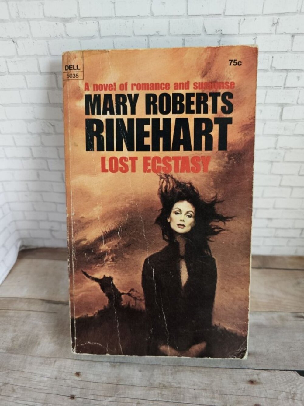 Vintage Dell Gothic 1967 Lost Ecstasy by Mary Roberts Rinehart Romantic Suspense